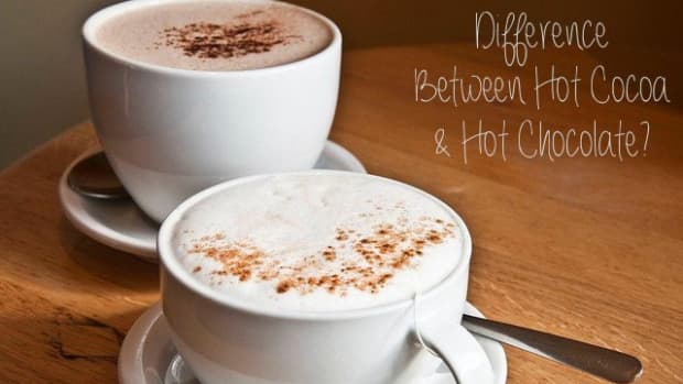 what-is-the-difference-between-hot-chocolate-and-hot-cocoa