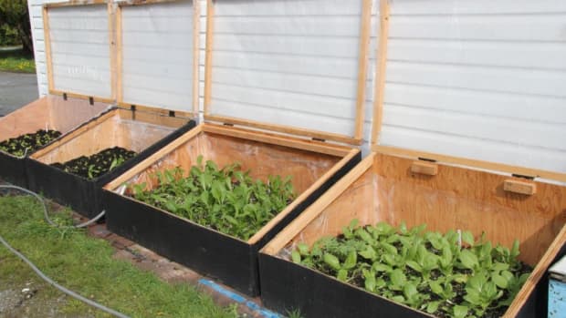 how-to-build-cold-frames-for-your-garden