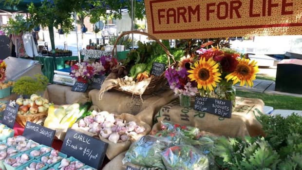 ___-tips-for-creating-a-successful-farmers-market-stand