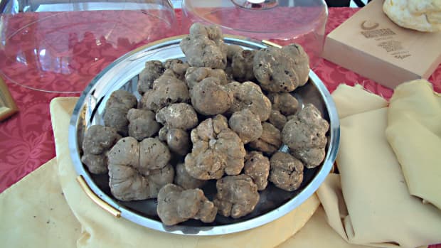 truffles-and-trees-the-benefits-of-mycorrhizal-fungi