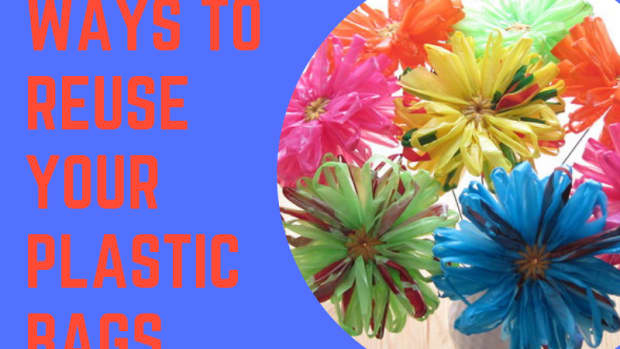 ten-ways-to-reuse-your-plastic-bags