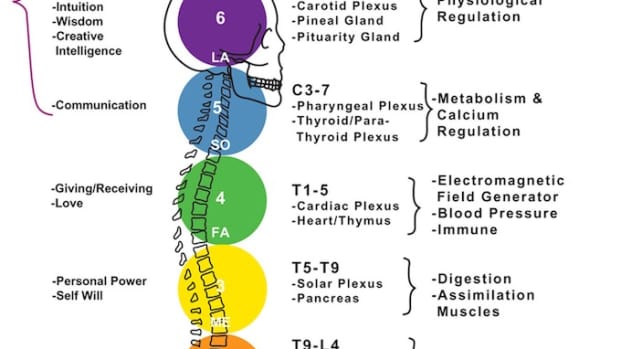 how-chakras-work-and-the-development-of-physical-and-mental-disorders-and-disease