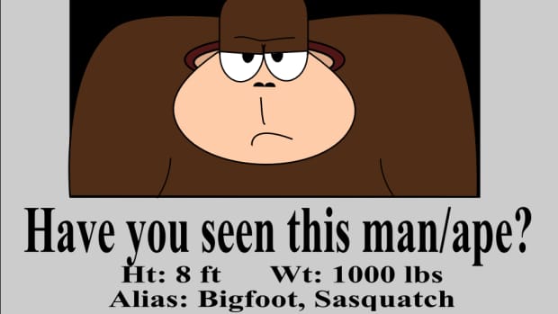 what-to-do-if-you-find-bigfoot