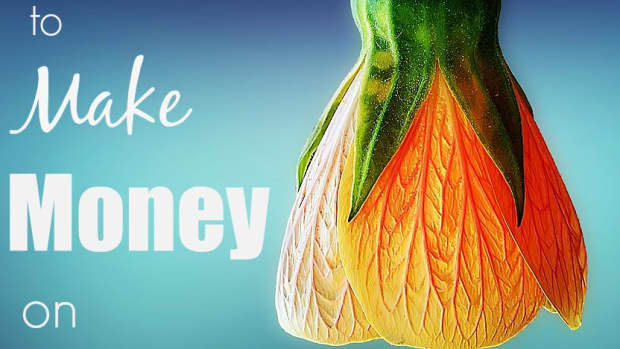 10-ways-to-make-money-on-zazzle