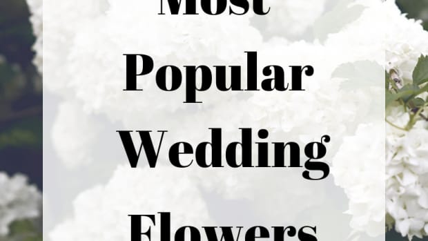 ten_most_popular_wedding_flowers