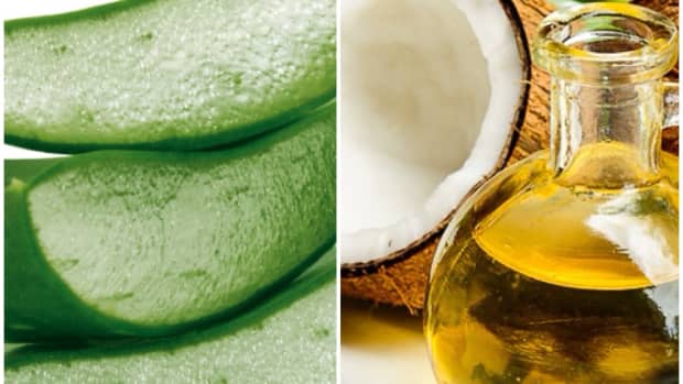 aloe-vera-vs-coconut-oil-benefits-and-uses-which-is-better