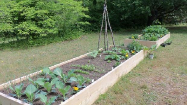 how-to-make-a-raised-bed-lasagna-garden
