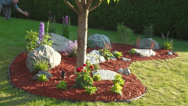 Rock Garden Ideas for Small Spaces