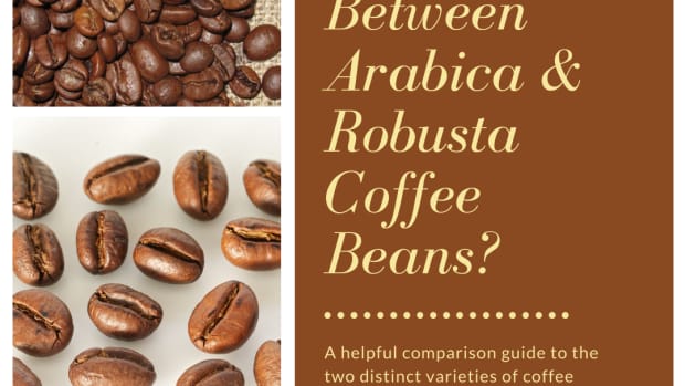 what-is-the-difference-between-arabica-and-robusta-coffee-beans