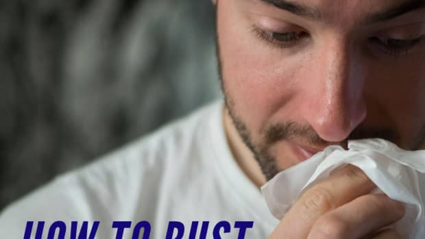 how-to-bust-dust-mites