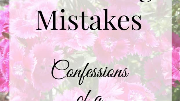 gardening-mistakes-confessions-of-newbie-gardener