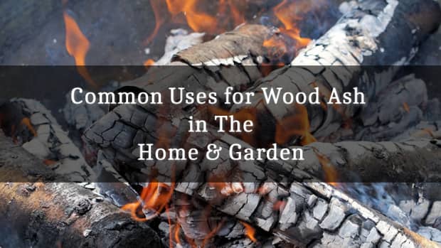 common-uses-for-wood-ash-in-home-garden