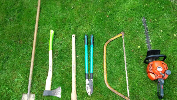 how-to-remove-a-tree-stump-easily
