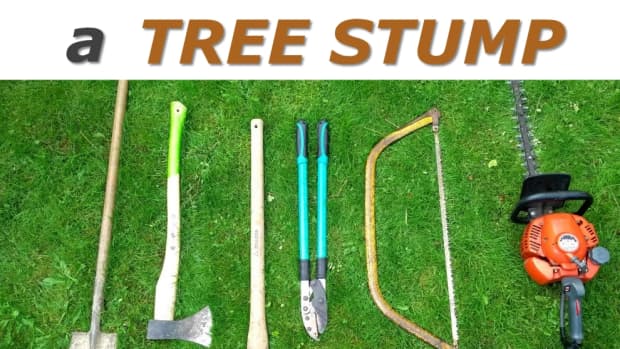 how-to-remove-a-tree-stump-easily