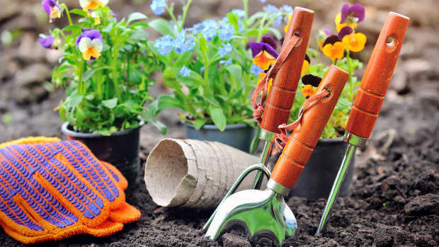 5-tips-for-gardening-on-a-budget
