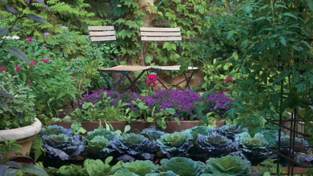 4-ways-to-enrich-your-garden-soil