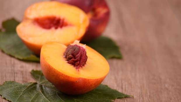 why-you-should-plant-a-nectarine-tree-today