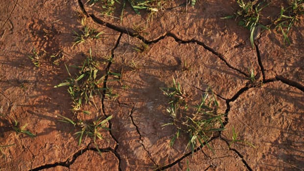 water-saving-tips-in-a-drought-year