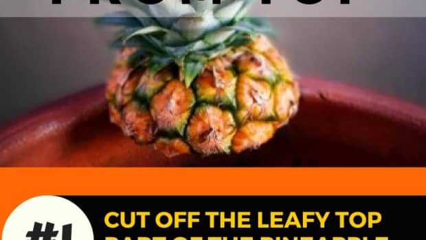 plant-grow-pineapple-top-in-5-easy-steps-with-photos