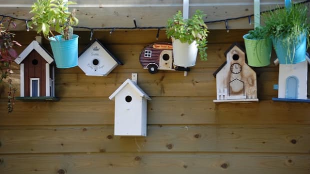 build-birdhouse-for-security-cameras