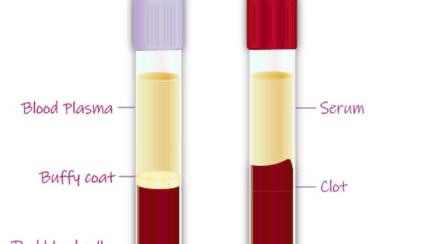 difference-between-plasma-and-serum