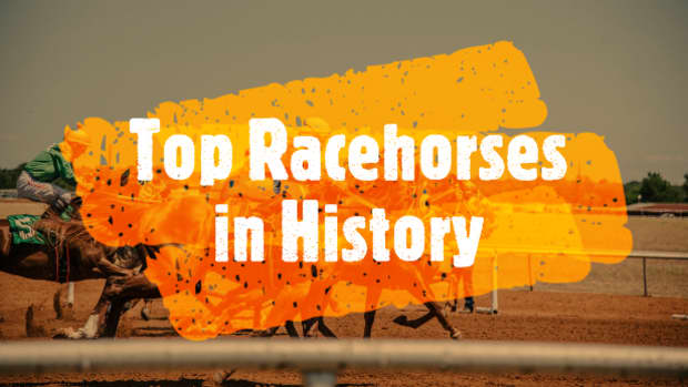 top-racehorses-in-history