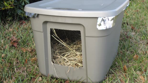emergency-cold-weather-shelter-for-stray-or-feral-cats