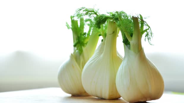 all-about-fruits-and-vegetables-fennel