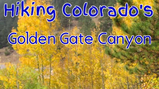 fall-colors-at-golden-gate-canyon-state-park-a-hike-up-beaver-trail-in-colorados-rocky-mountains-to-see-aspen-gold