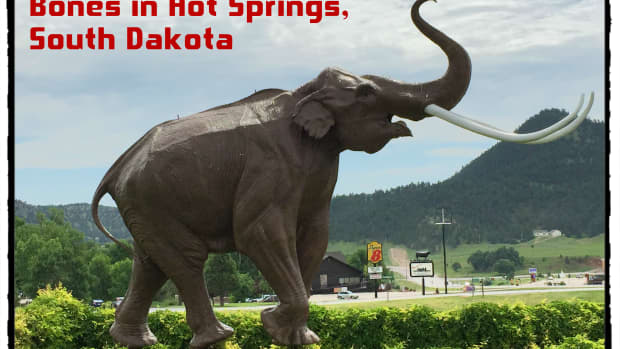 visit-the-mammoth-site-of-hot-springs-south-dakota-walk-among-wooly-mammoth-fossils