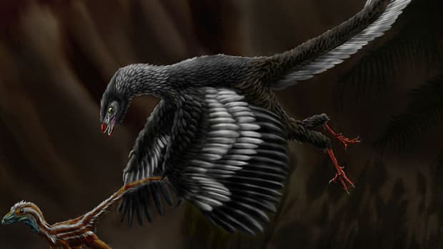 dinosaurs-with-feathers-or-scales
