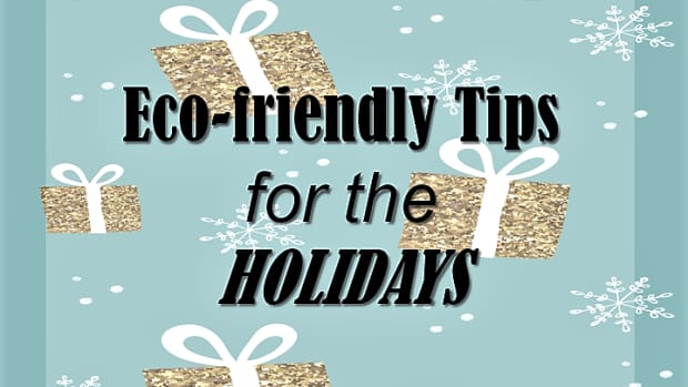 eco-friendly-tips-for-the-holidays