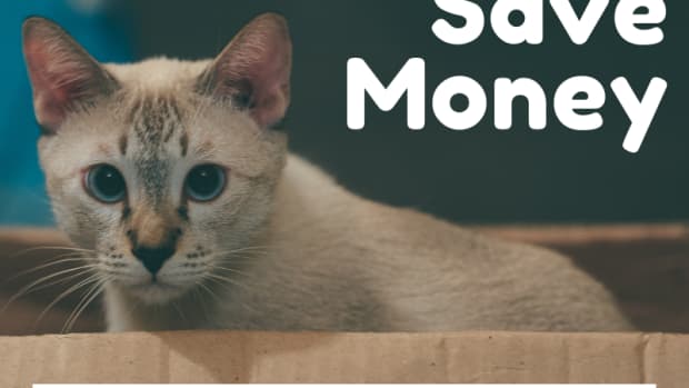 cheapest-litter-options-for-cats