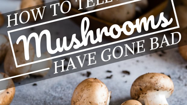 how_do_you_know_when_mushrooms_go_bad