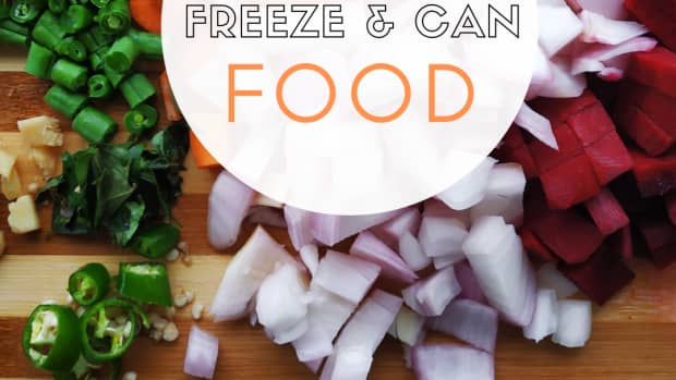 how-to-freeze-can-your-food