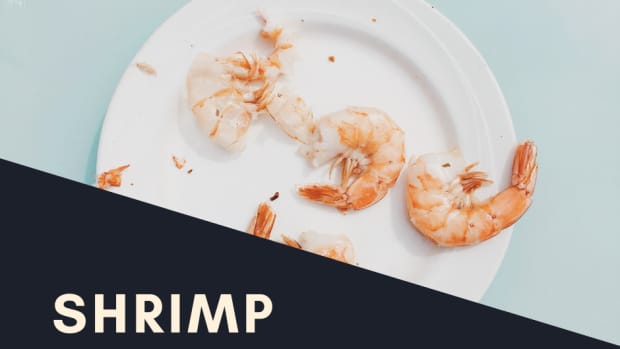 a-taste-of-disney-shrimp-and-grits