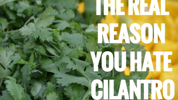 why-does-cilantro-taste-bad