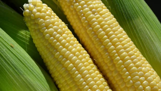 pressure-canning-sweet-corn