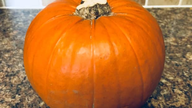how-to-puree-pumpkin