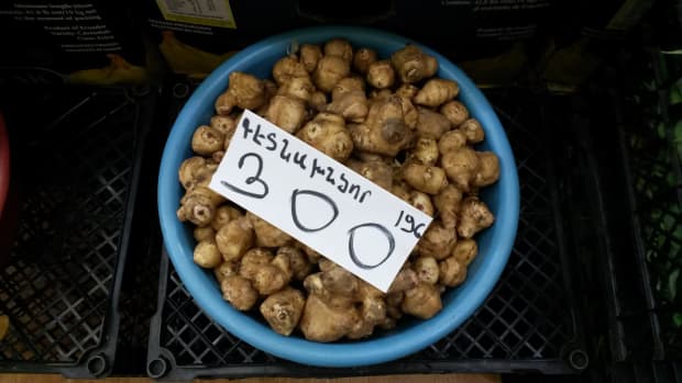 jerusalem-artichokes-and-ginger-root-resemble-each-other-what-else-do-they-have-in-common