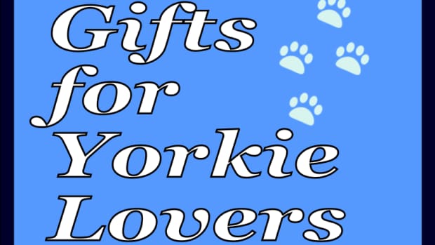 gifts-for-yorkie-lover