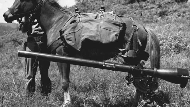korean-war-history-reckless-the-little-mare-that-became-a-marine-war-horse