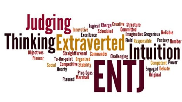 26-struggles-of-the-entj-myers-briggs