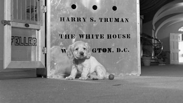 a-history-of-white-house-pets-1945-present