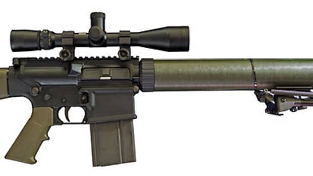 you-should-hunt-with-an-ar-style-rifle
