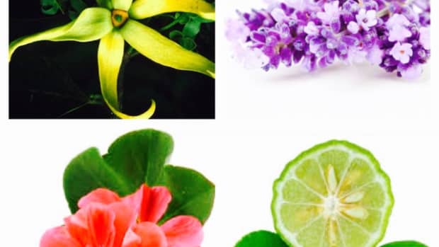 8-essential-oils-to-help-boost-your-mood-in-winter