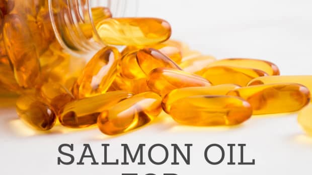 my-review-of-premium-wild-alaskan-salmon-oil-for-dogs-and-cats