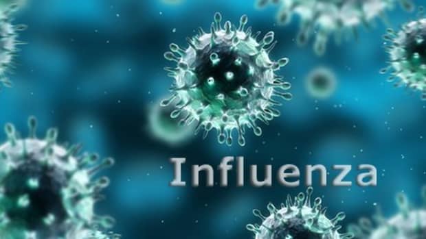 the-epidemiology-of-influenza