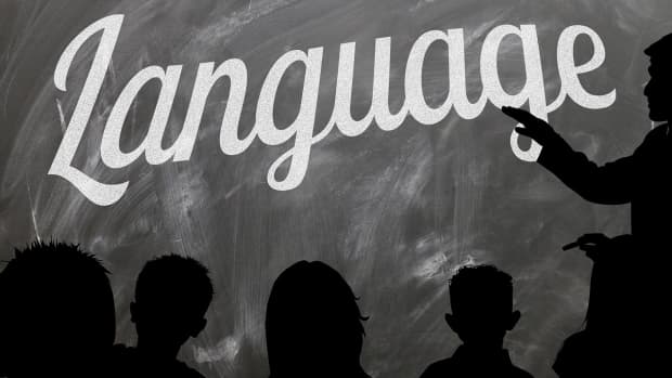 learning-a-foreign-language-online-what-you-need-to-know
