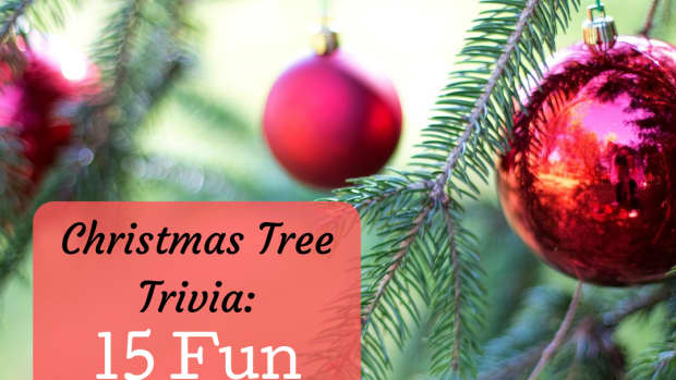 o-christmas-tree-trivia